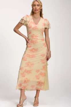 Jolie Moi Occasion Dresses|Mesh Dresses-Lace Insert Mesh Midi Dress, Orange Abstract