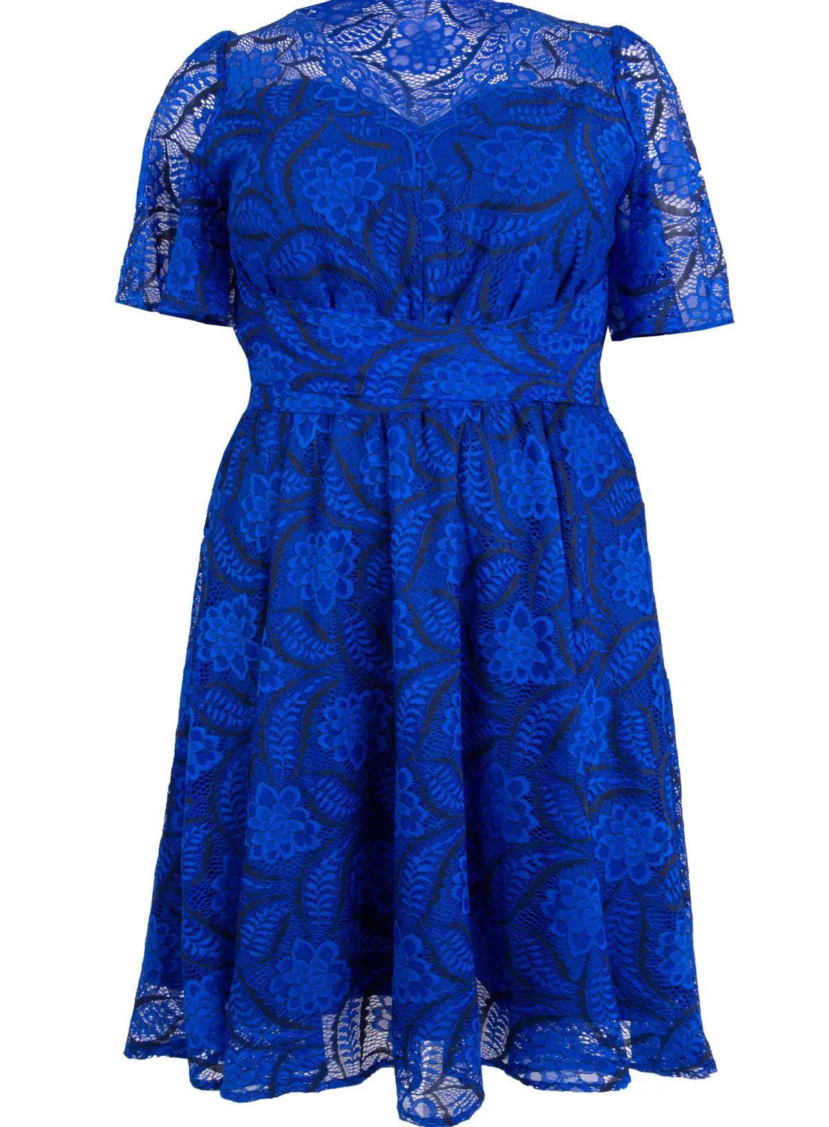 Jolie Moi Occasion Dresses|Mother Of The Bride-Plus Size Flare Sleeve Belted Lace Dress, Royal Blue