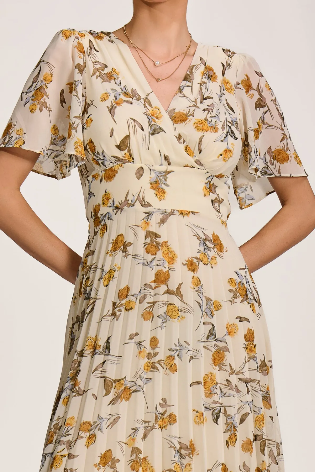 Jolie Moi Occasion Dresses|Floral Dresses-Printed Chiffon Pleated Maxi Dress, Amber Floral