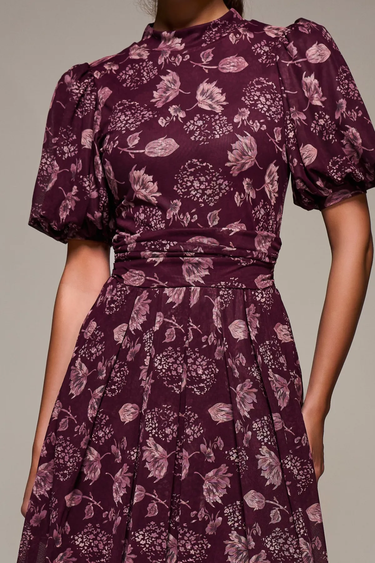 Jolie Moi Occasion Dresses|Mesh Dresses-Puffy Sleeve Printed Mesh Maxi Dress, Burgundy Floral