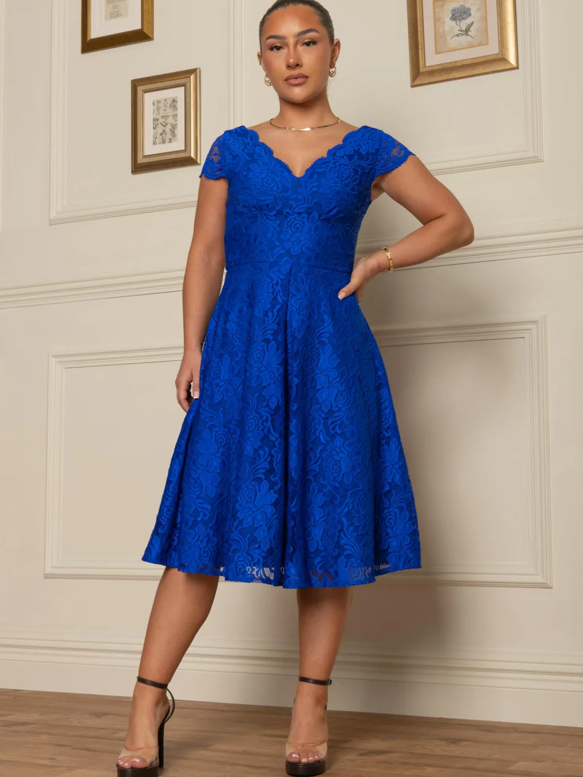Jolie Moi Occasion Dresses|Mother Of The Bride-1950s Cap Sleeve Lace Prom Dress, Royal Blue